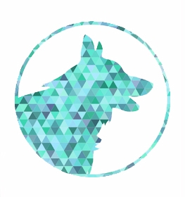 Bernese Rottie dog profile picture